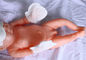 Gants nouveau-nés L taille de main de bébé de produits jetables de bébé de textiles non tissés de S fournisseur